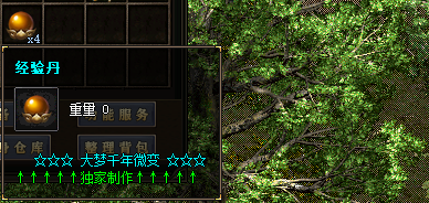 SF999传奇185新区冲级攻略：等级提升的秘诀